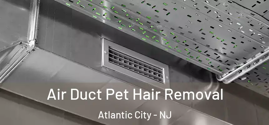  Air Duct Pet Hair Removal Atlantic City - NJ