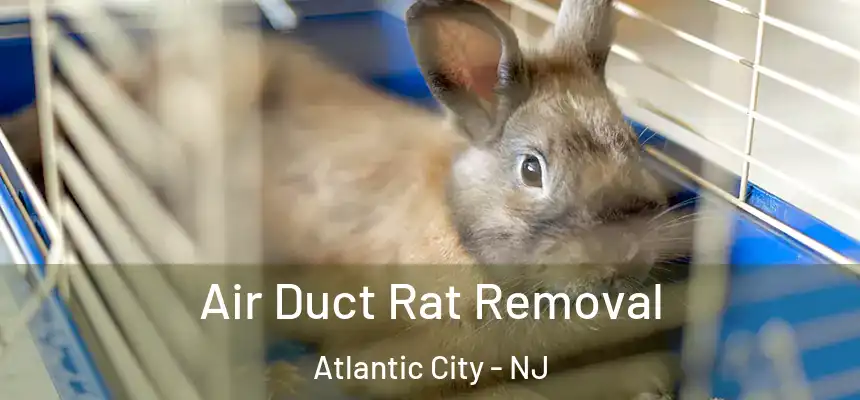 Air Duct Rat Removal Atlantic City - NJ