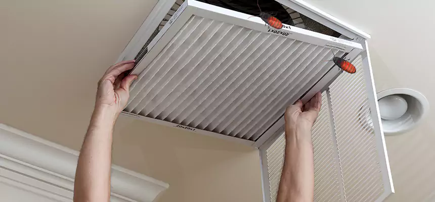 Preventive Cockroach-Proofing for Ducts in Atlantic City