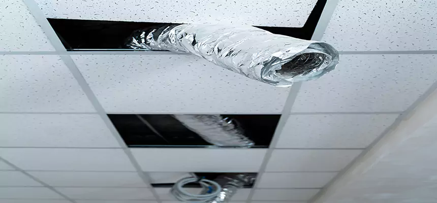 Affordable HVAC Sanitizing After Pest Removal in Atlantic City