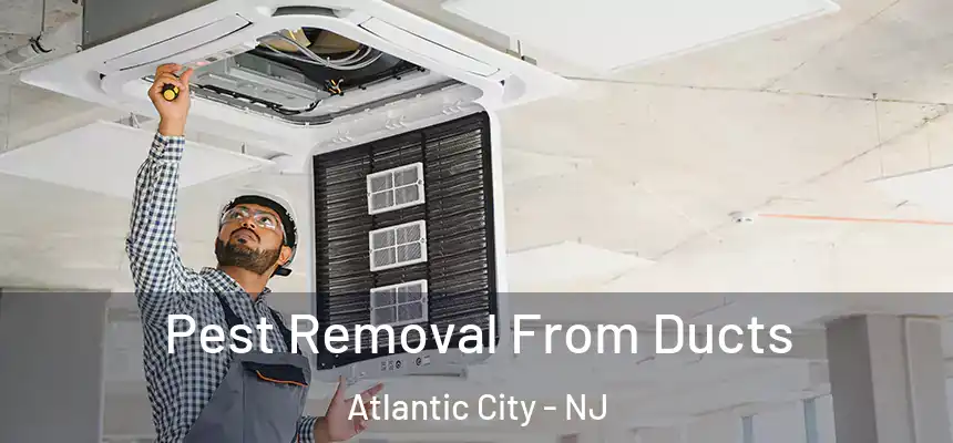 Pest Removal From Ducts Atlantic City - NJ