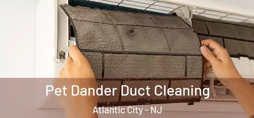 Pet Dander Duct Cleaning Atlantic City - NJ