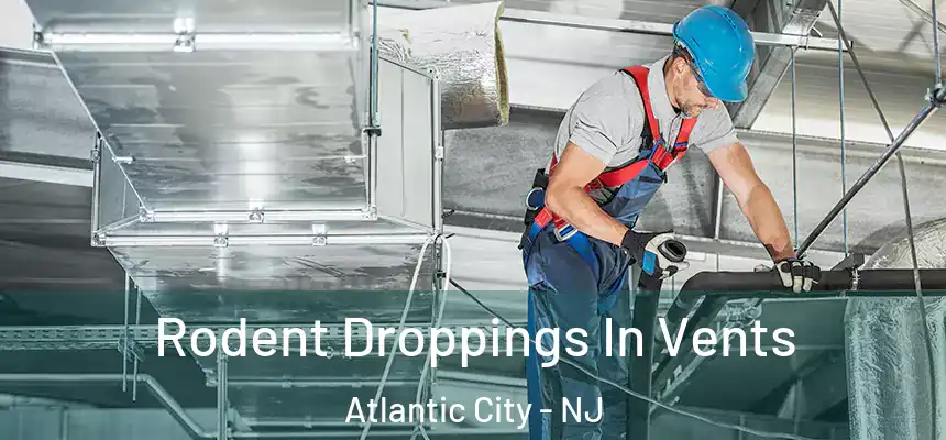  Rodent Droppings In Vents Atlantic City - NJ