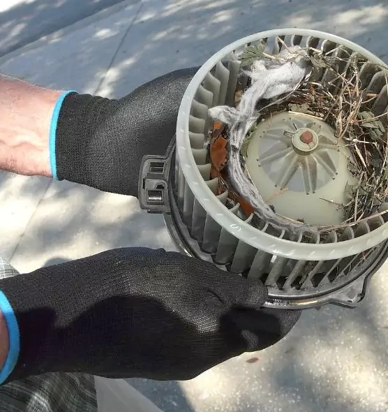 About Air Duct Rat Removal in Atlantic City, NJ