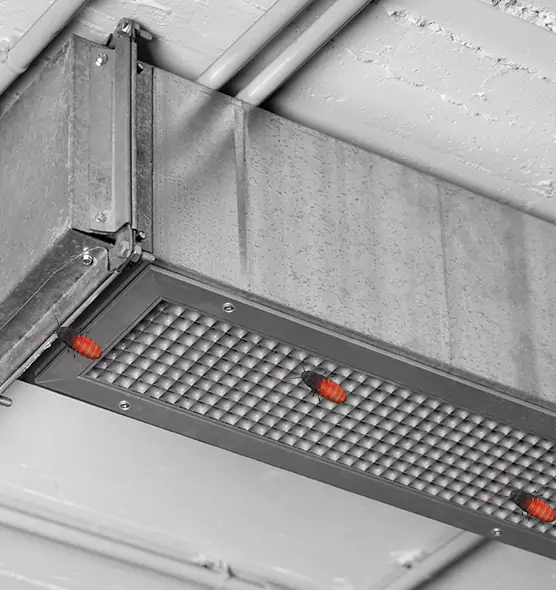 Affordable Insect Removal from Air Ducts in Atlantic City, NJ